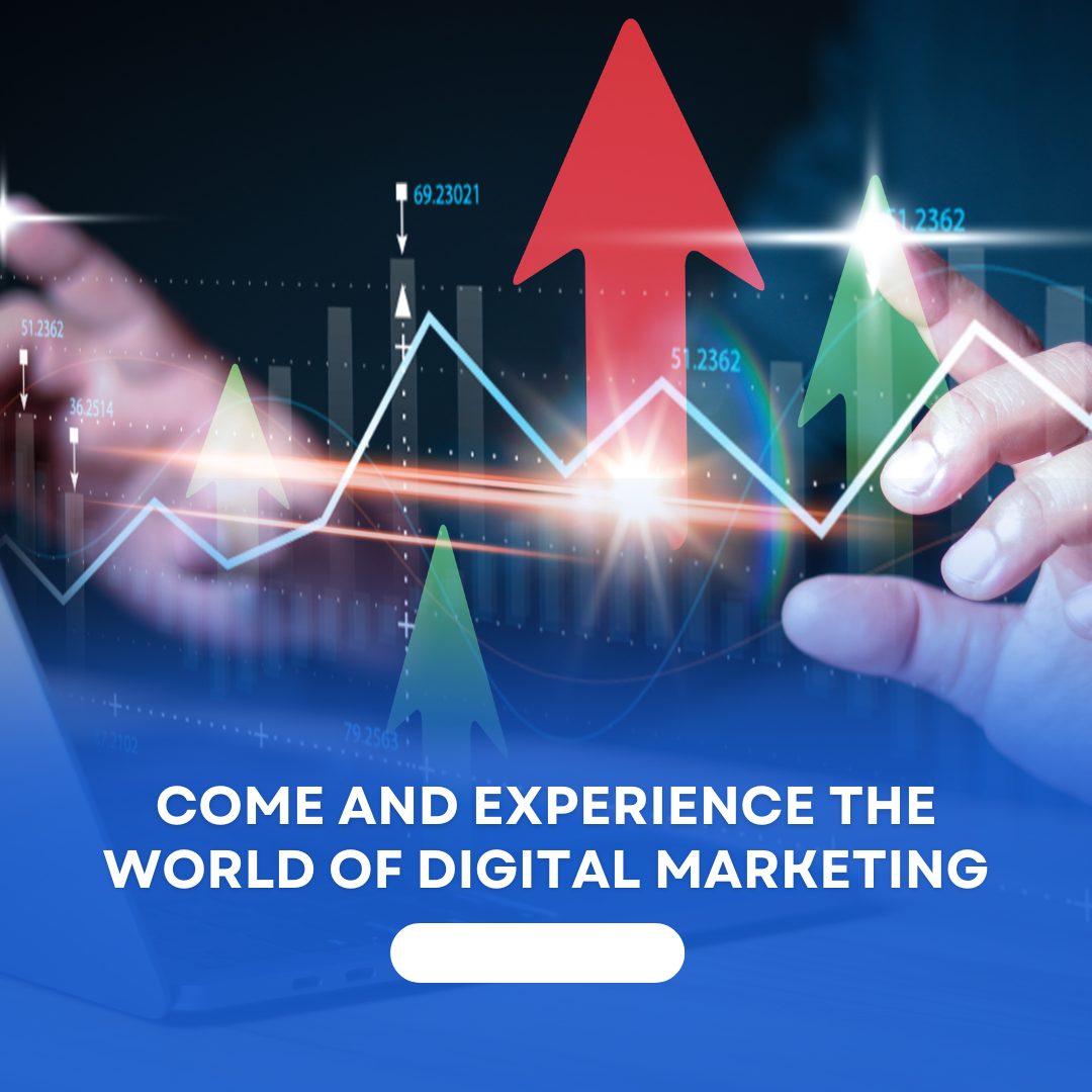 Website Design Company