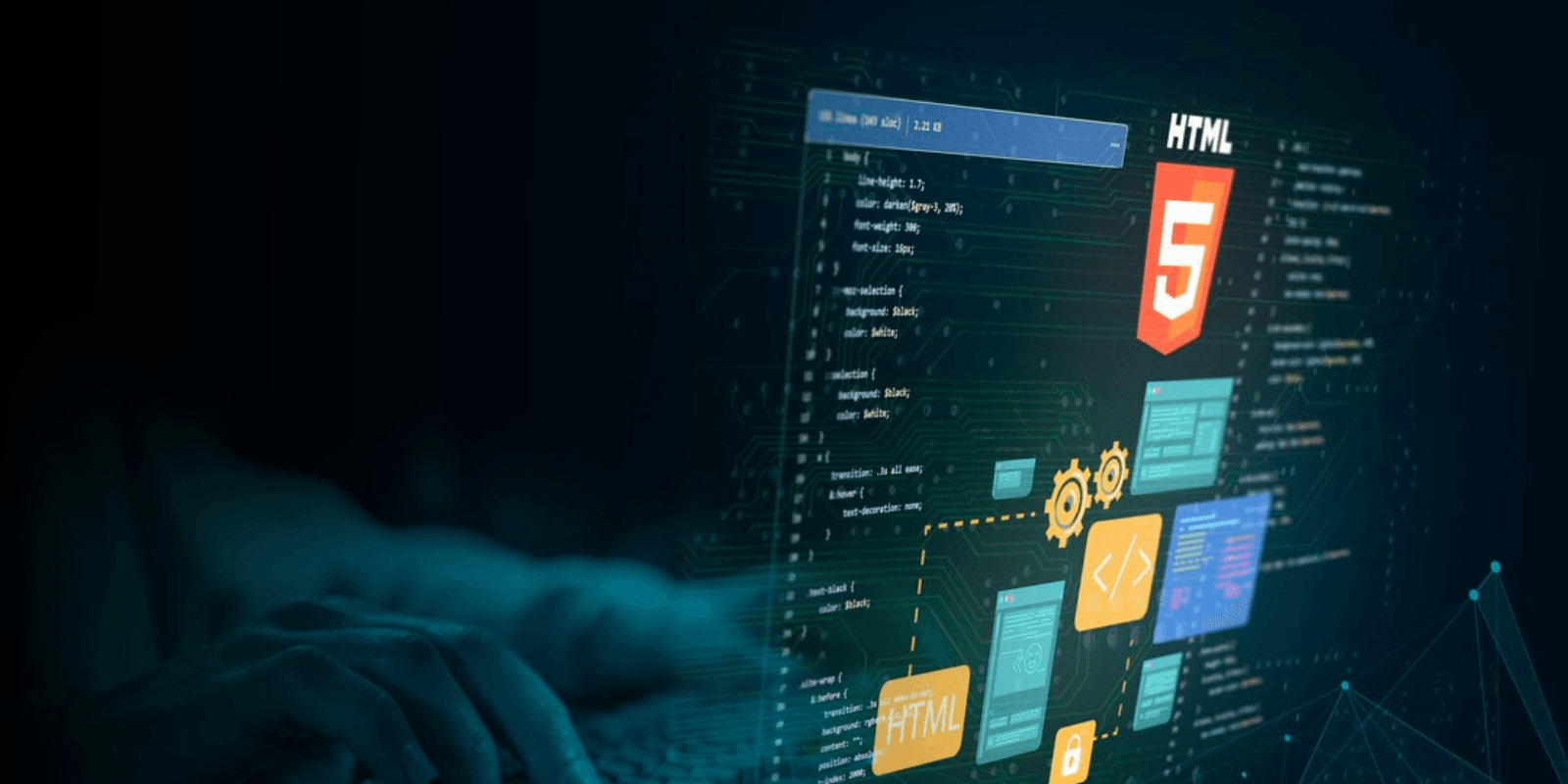 Website Design Company